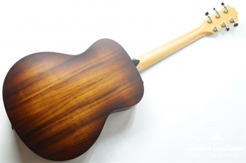 GS Mini-e KOA Plus